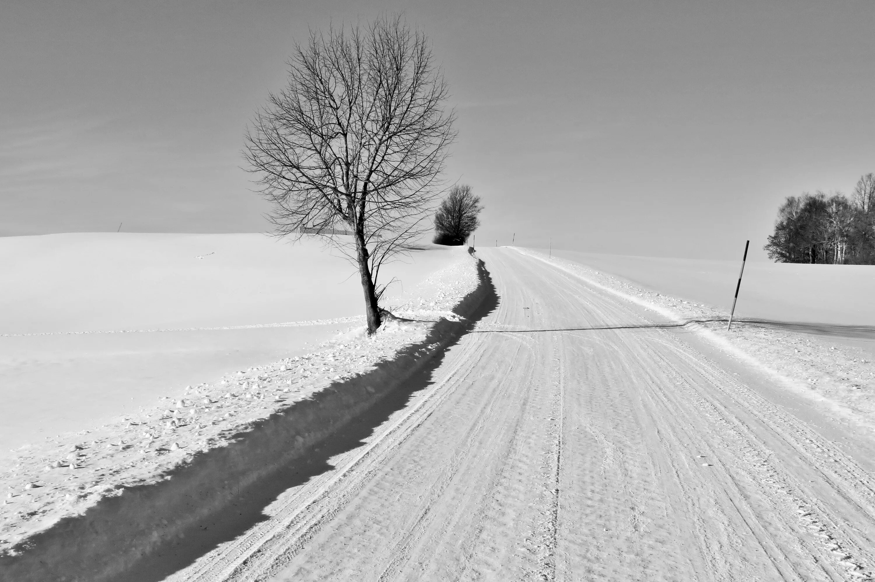 На дороге снег лежит. Зимняя дорога. Снег на дороге. Заснеженная дорога. Белая Снежная дорога.