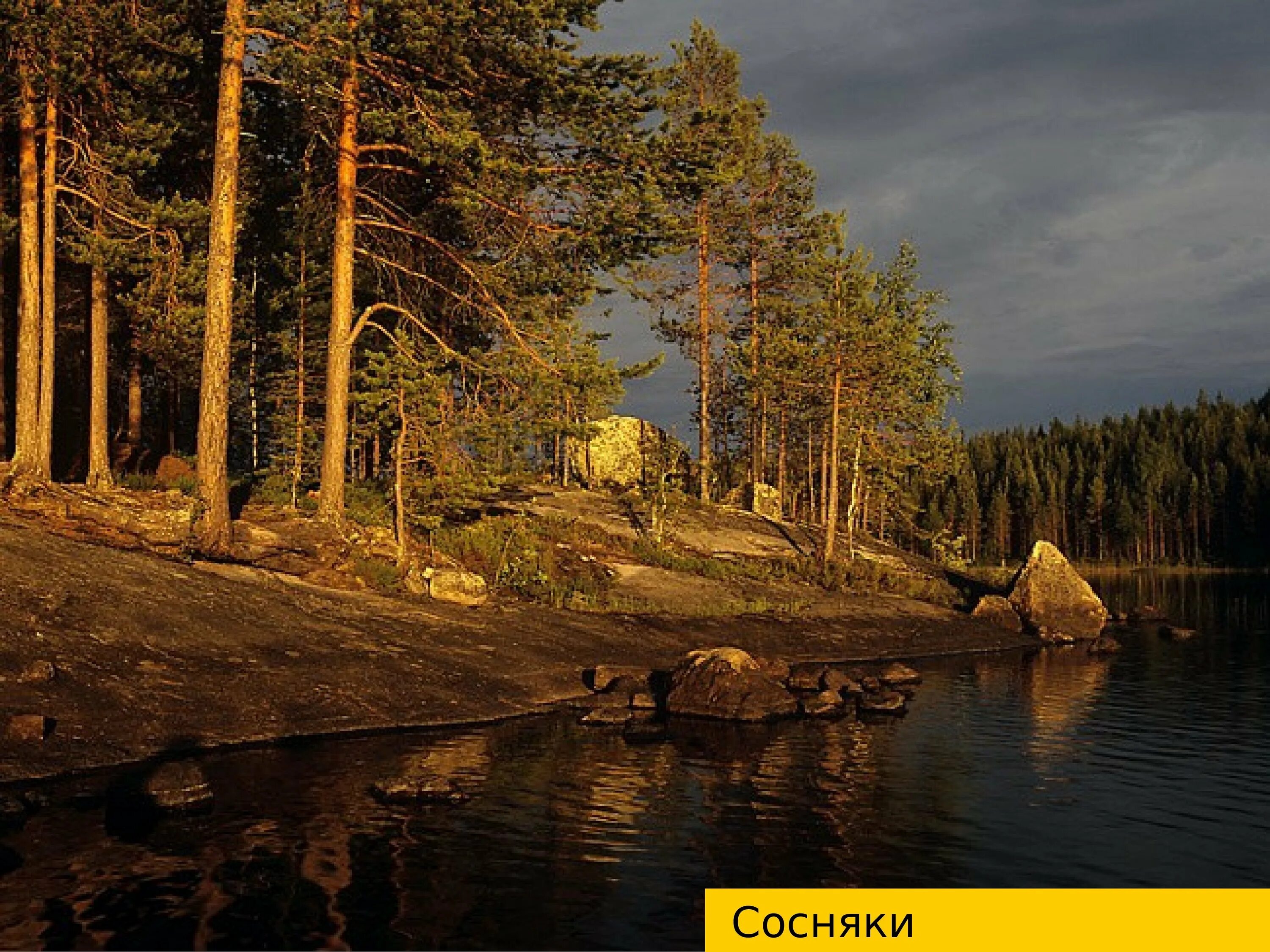 Природа северо запада района. Кемь-Лудский участок Кандалакшского заповедника. Карелия озеро Люття. Природа Северной Карелии. Пирттипохья Карелия озеро.