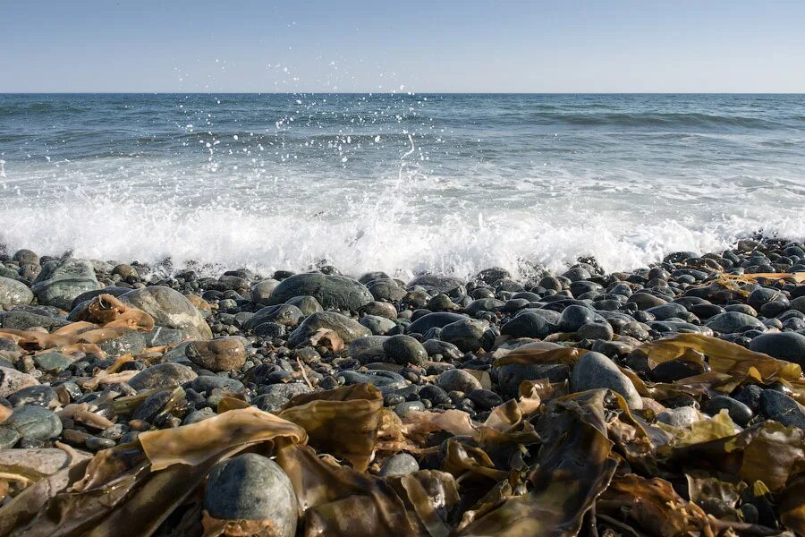 Морской прогноз приморский. Поселок морской Приморье. Дикие пляжи Южно морской. Южно-морской. Южно морской достопримечательности.