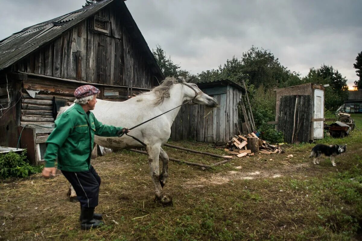 Деревенский пока. Жизнь в деревне. Деревенская жизнь. Жизнь в русской деревне. Жители сельской местности.