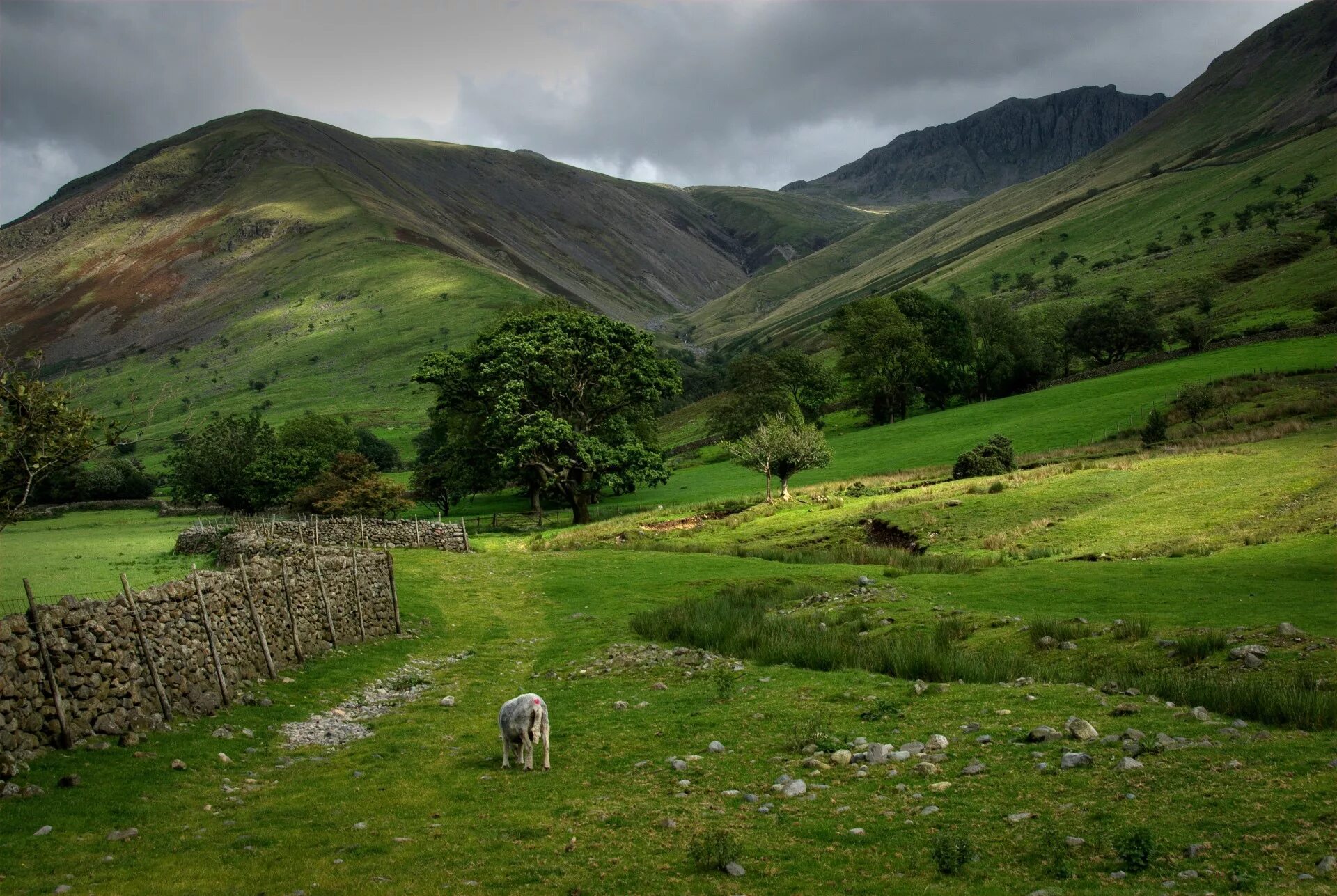 Scotland nature reserves. Шотландия ландшафт. Холмы Шотландии. Шотландия Долина Спейсайд. Зеленые холмы Шотландии.