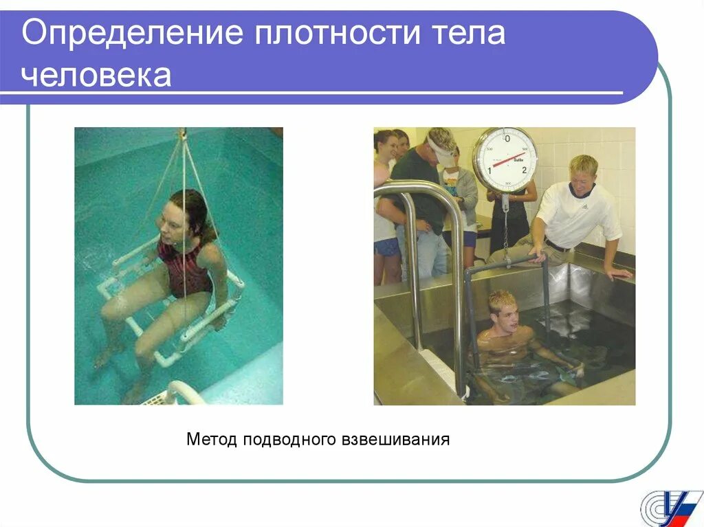 : "Определение плотности человека". Измерение плотности тела человека. Плотность тела человека средняя. Метод подводного взвешивания. Плотность человека физика