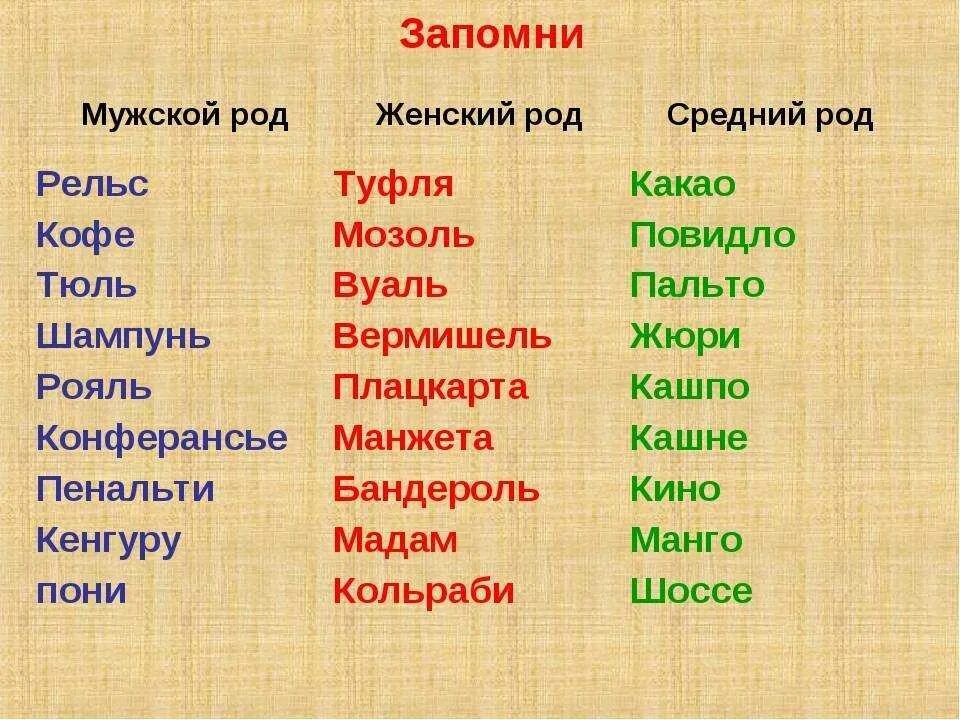 Тюли единственное число