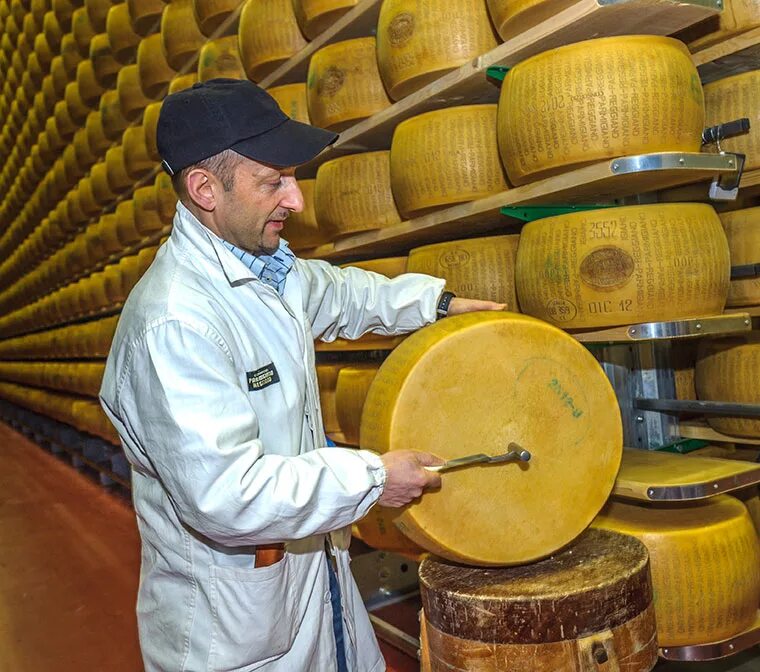 доклад о необычной профессии сырные слушатели кратко. слушатель сыра пармезан. самая большая головка сыра. сыроварня реджано. пищевая промышленность сыр.