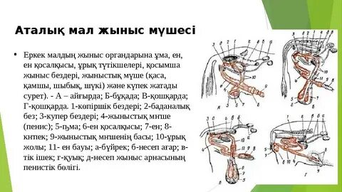 Порноға түскен орыс қыздары