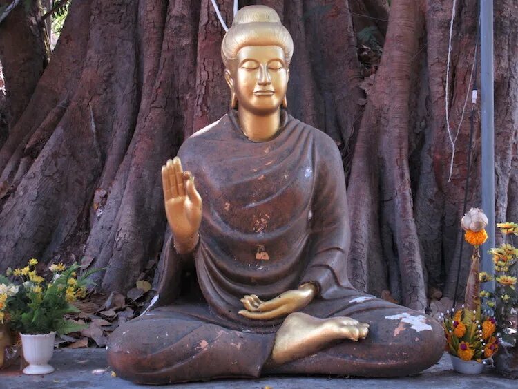Будду игра. Мудры Будды. Абхая мудра. Кассапа Будда. Будда Гришина.