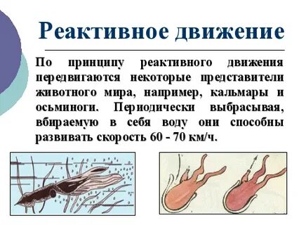 На каком физическом принципе основано реактивное движение