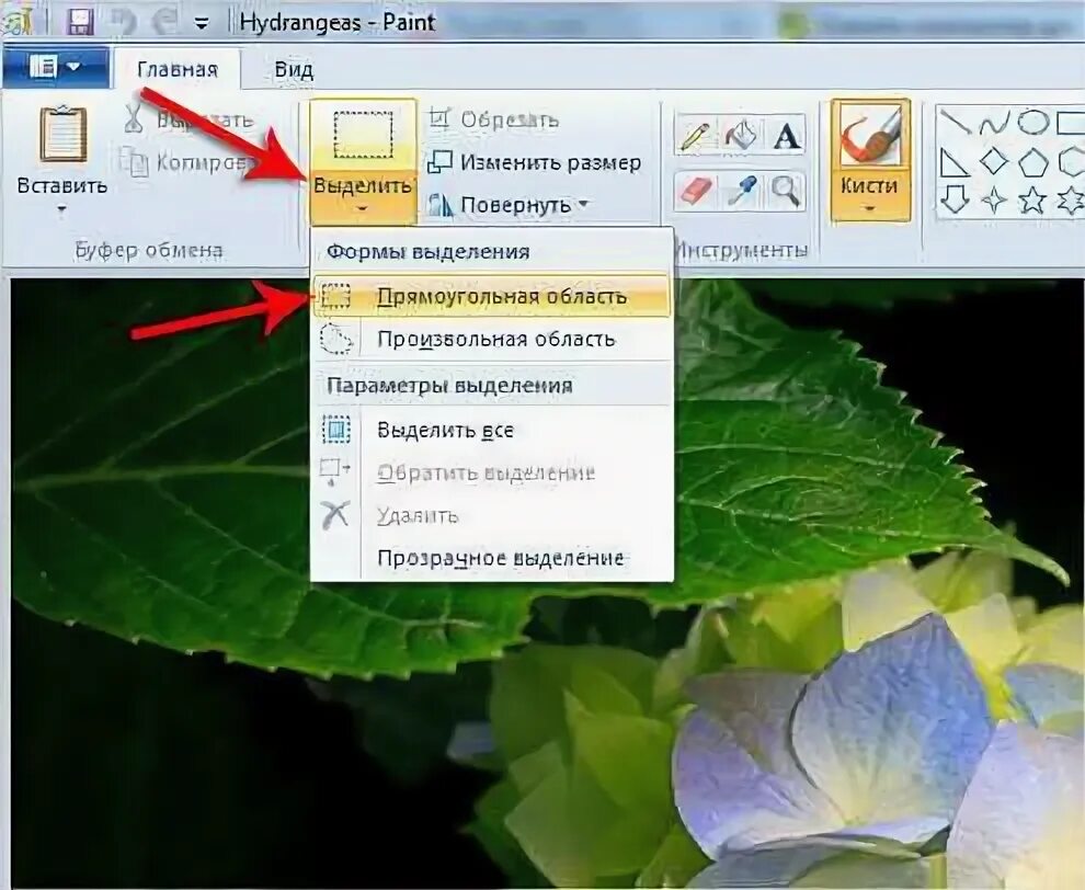 Как обрезать в powerpoint. Обрезать картинку для презентации. картинки обрезанные по контуру. как обрезать картинку в презентации. обрезать картинку в powerpoint.