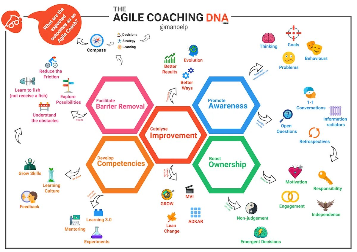 Agile коуч. Agile мышление. эджайл коучинг. agile роли.