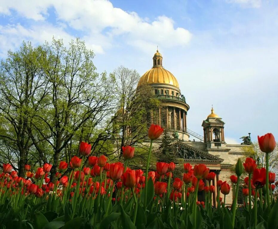 Туры в питер в мае. Весна в санкт-петербурге. санкт-петербург весной. весенний петербург. питер весной.