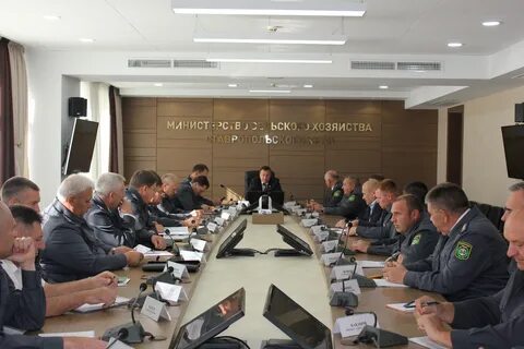 Мсх края