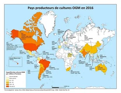 Des pays