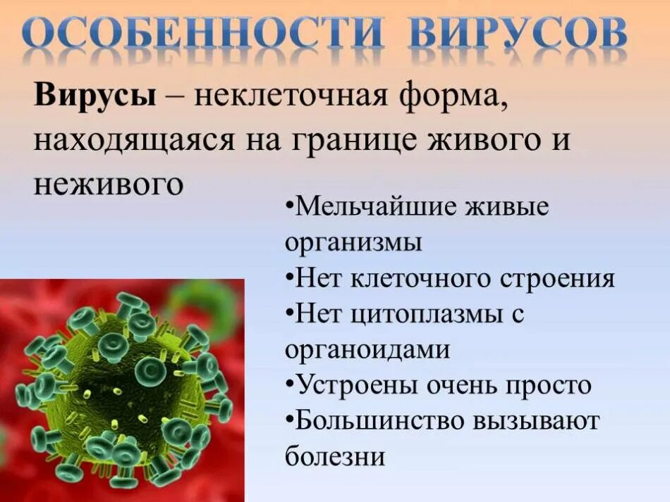 Бактерии и вирусы 5 класс биология презентация. Вирусы презентация. Вирусы кратко. Вирусы по биологии. Презентация по биологии вирусы.