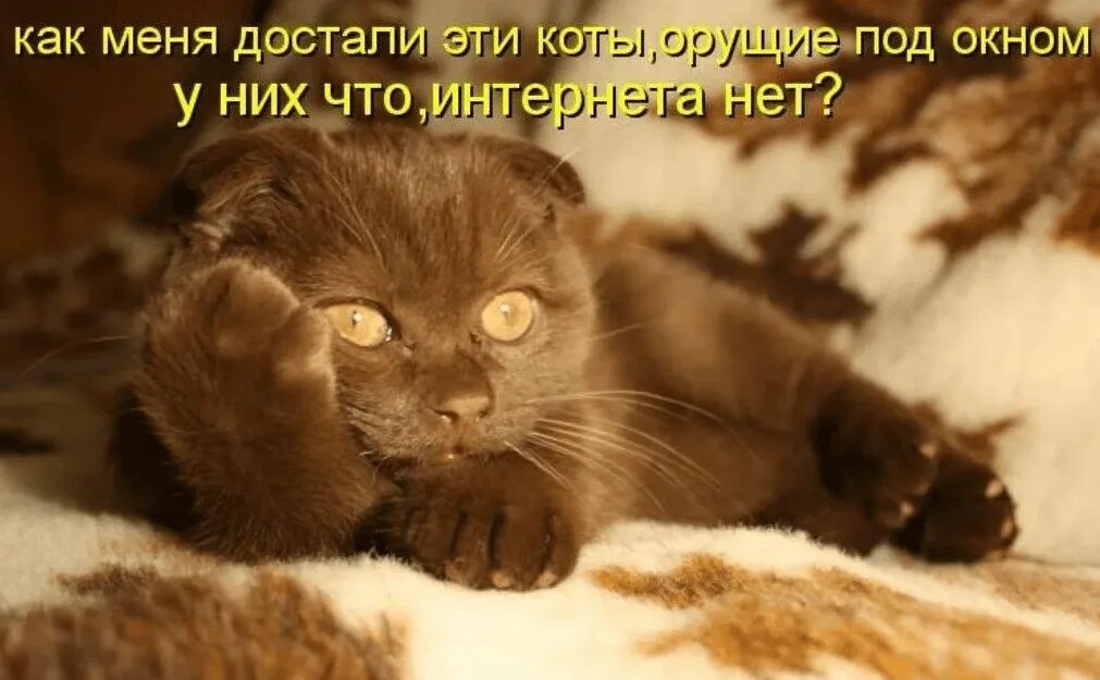 Хочешь знать как я тут