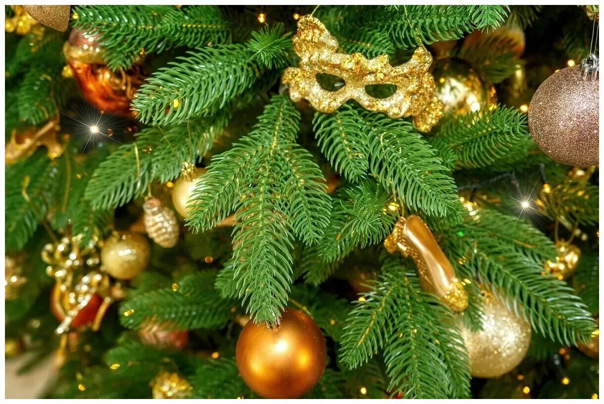 ель камчатская премиум 150 см. ель царь елка 240см люкс. царь елка хаген премиум 180. царь елка крымская литая 180. царь елка премиум 180.