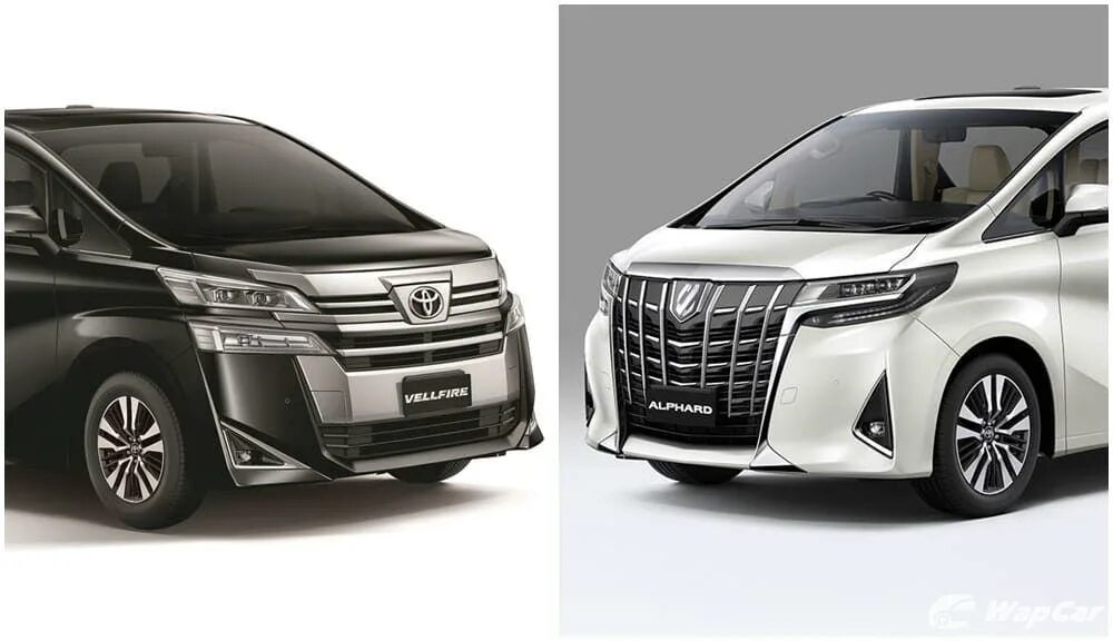 Чем отличается альфард от веллфайр. Toyota Vellfire 2020. Тойота альфард 2019. Toyota Vellfire 2019. Toyota Vellfire vs Alphard.