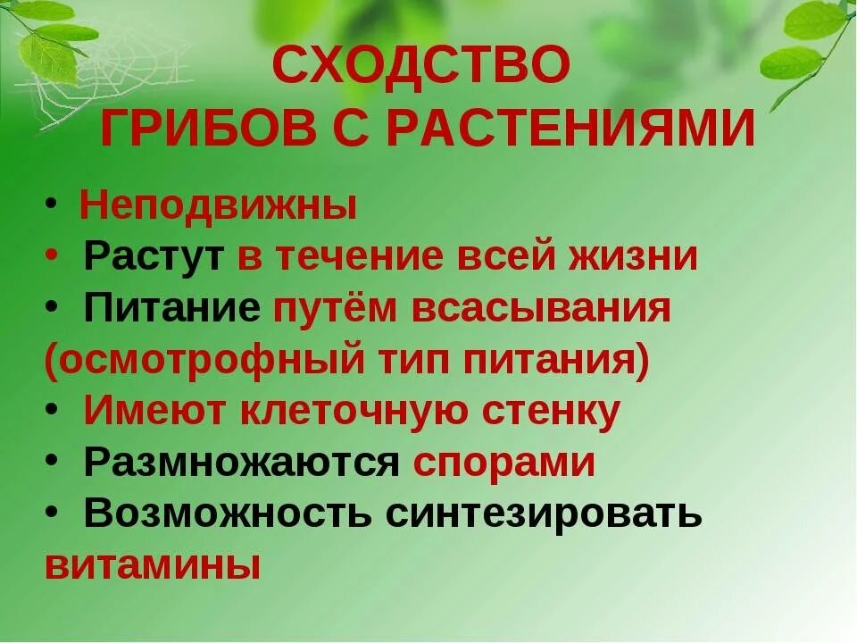 Признак отличающий растения от животных. Сходство грибов с растениями. черты сходства грибов с растениями. сходство грибов с растениями и животными. содство грибов рэс оастениями.