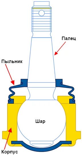 Схема шаровой опоры. Схема шаровой опоры автомобиля. Шаровая опора чертеж. Шаровая опора принцип работы. Шаровая опора принцип схема.