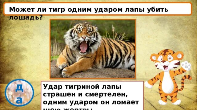 Тигр сколько килограмм. Тигр сколько килограмм