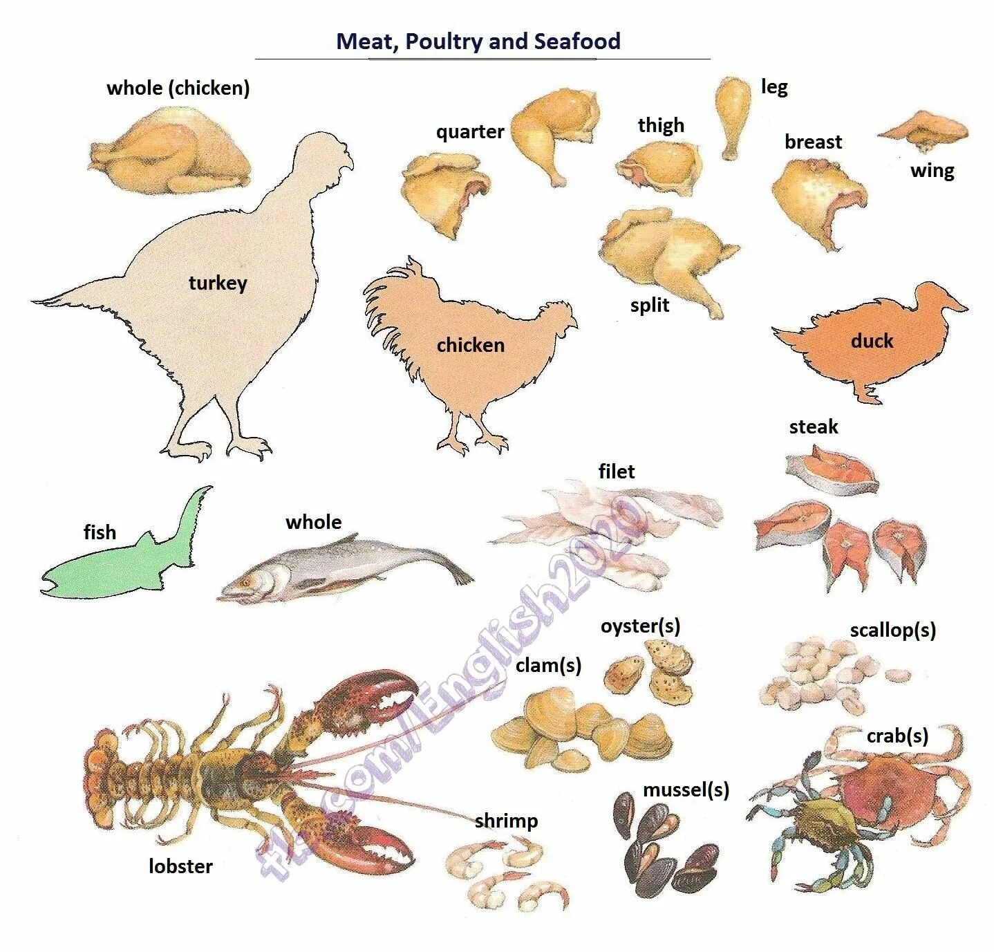 Мясо на английском языке. Мясо птицы на английском. Названия мяса на английском. Виды мяса на англ. Poultry на английском языке.