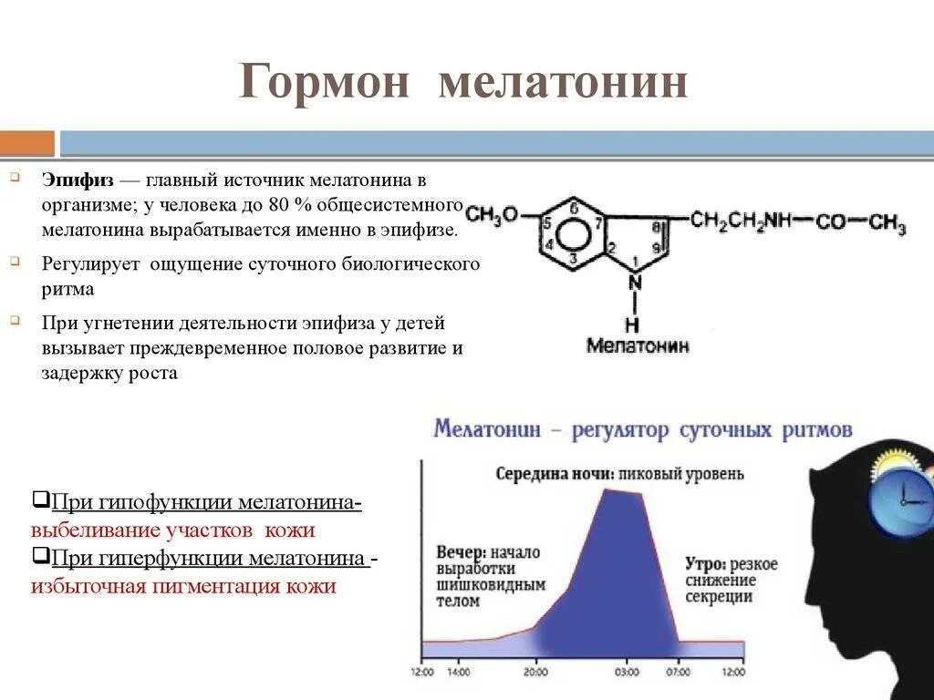 Меланин функции. Мелатонин гормон эпифиза. мелатонин гормон эпифиза функции. мелатонин гормон шишковидной железы. мелатонин. физиологические функции гормона..