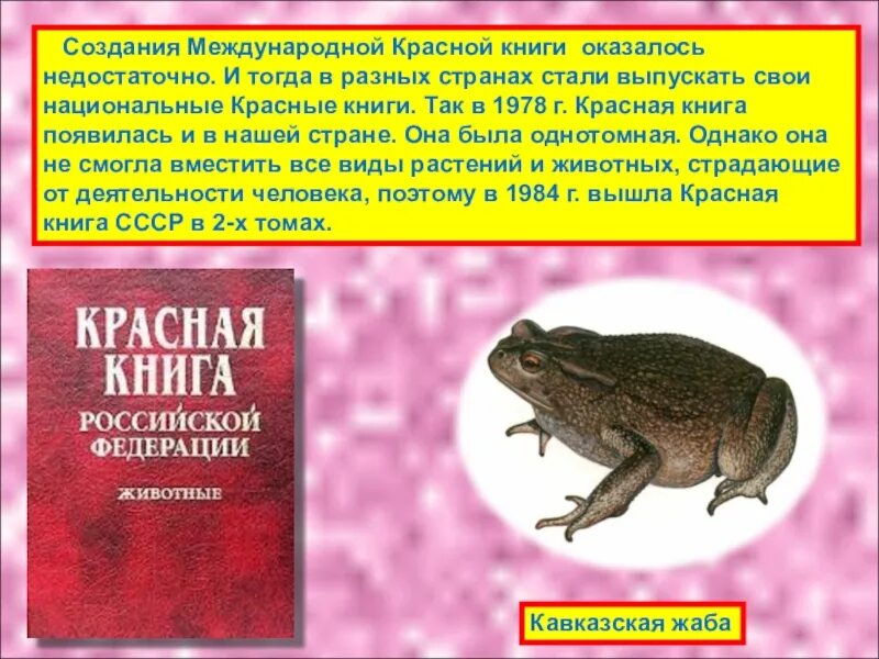 Сообщение о любом животном международной красной книги. Красная книга. животное из красной книги. красная книга животные красной книги. рассказ о животных красной книги.