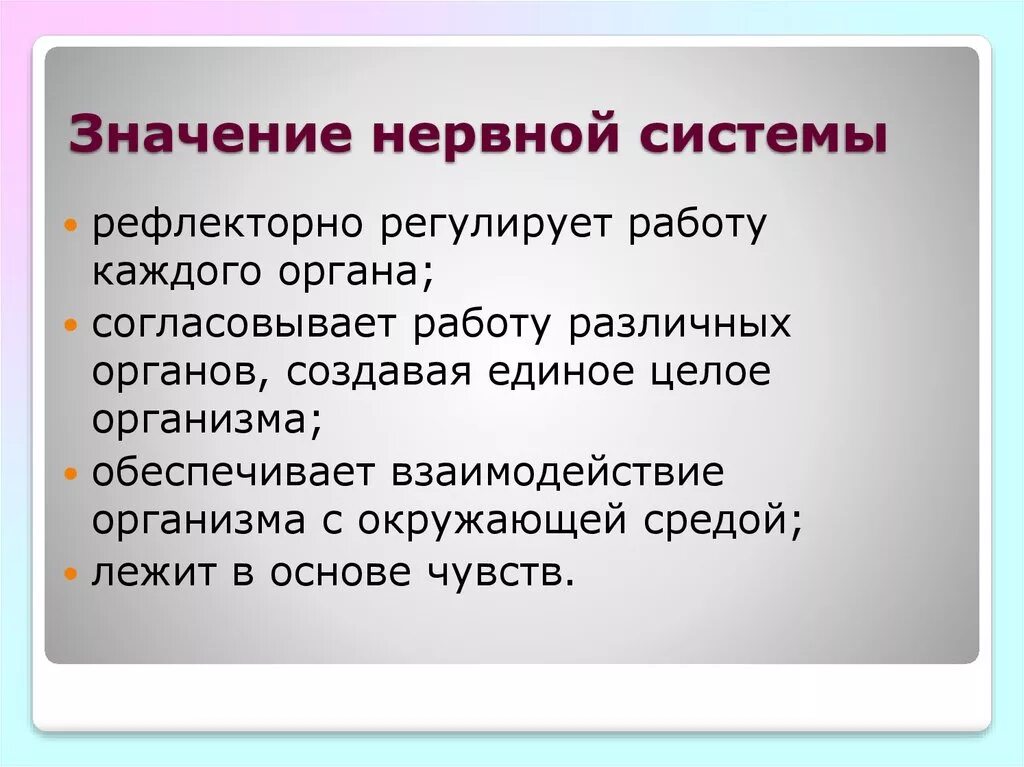 Значение нервной системы. Знаен енервной системы. Значение нервнойиситеиы. Значение нервной системы для организма для организма. Какую роль играет нервная