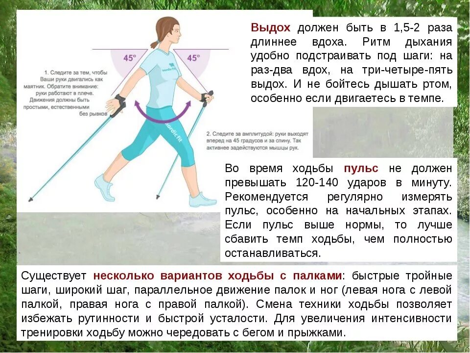 Скандинавская ходьба с палками техника. Правильная техника ходьбы со скандинавскими палками. Методика скандинавской ходьбы для начинающих. Скандинавская ходьба с палками техника ходьбы для начинающих пожилых. Силовая ходьба что это