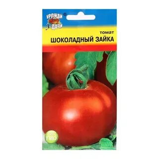 Томат зайчик