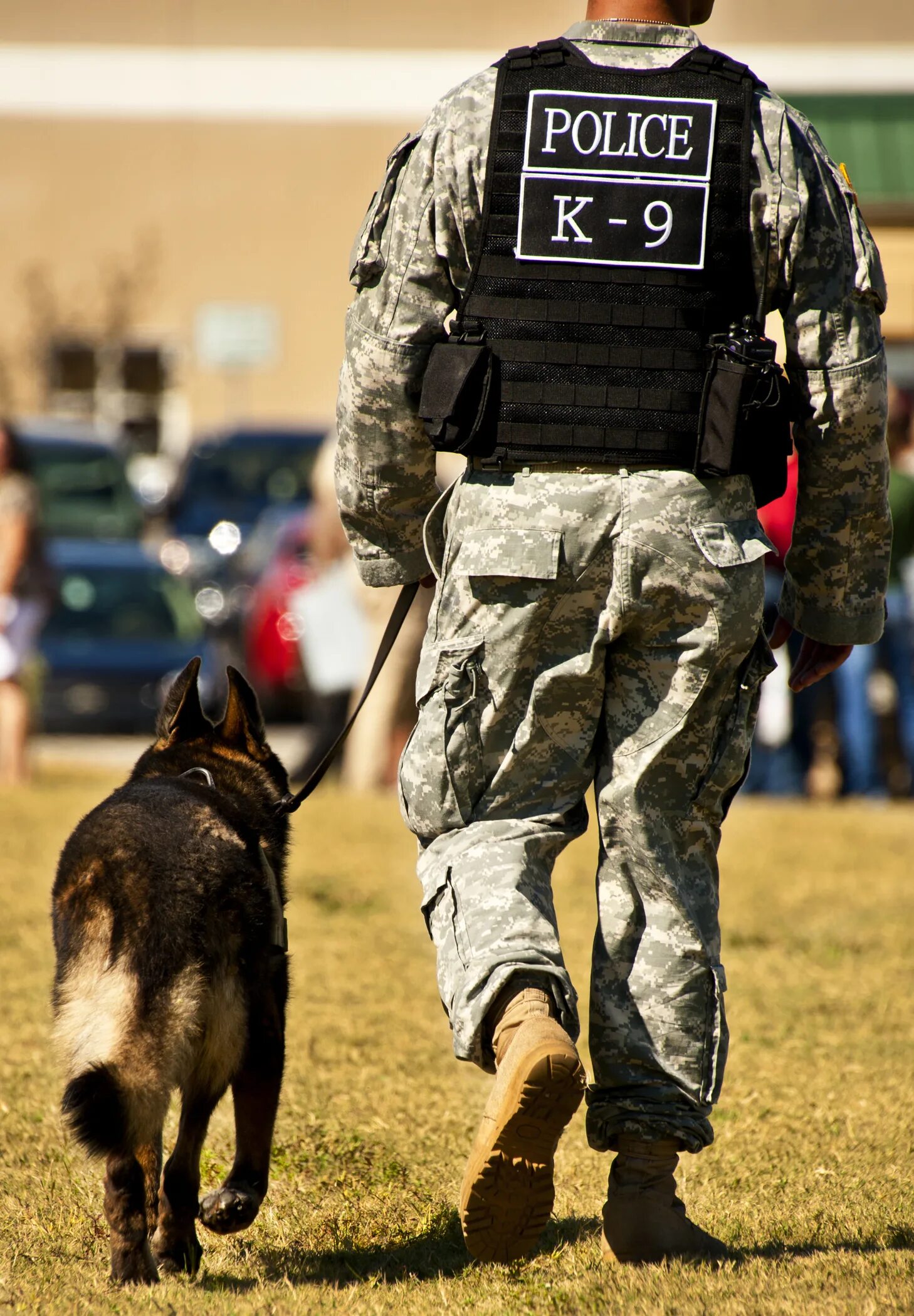 K-9 Unit. Охранник кинолог. Police Dog. Работа кинолог охранник. Охрана кинологами