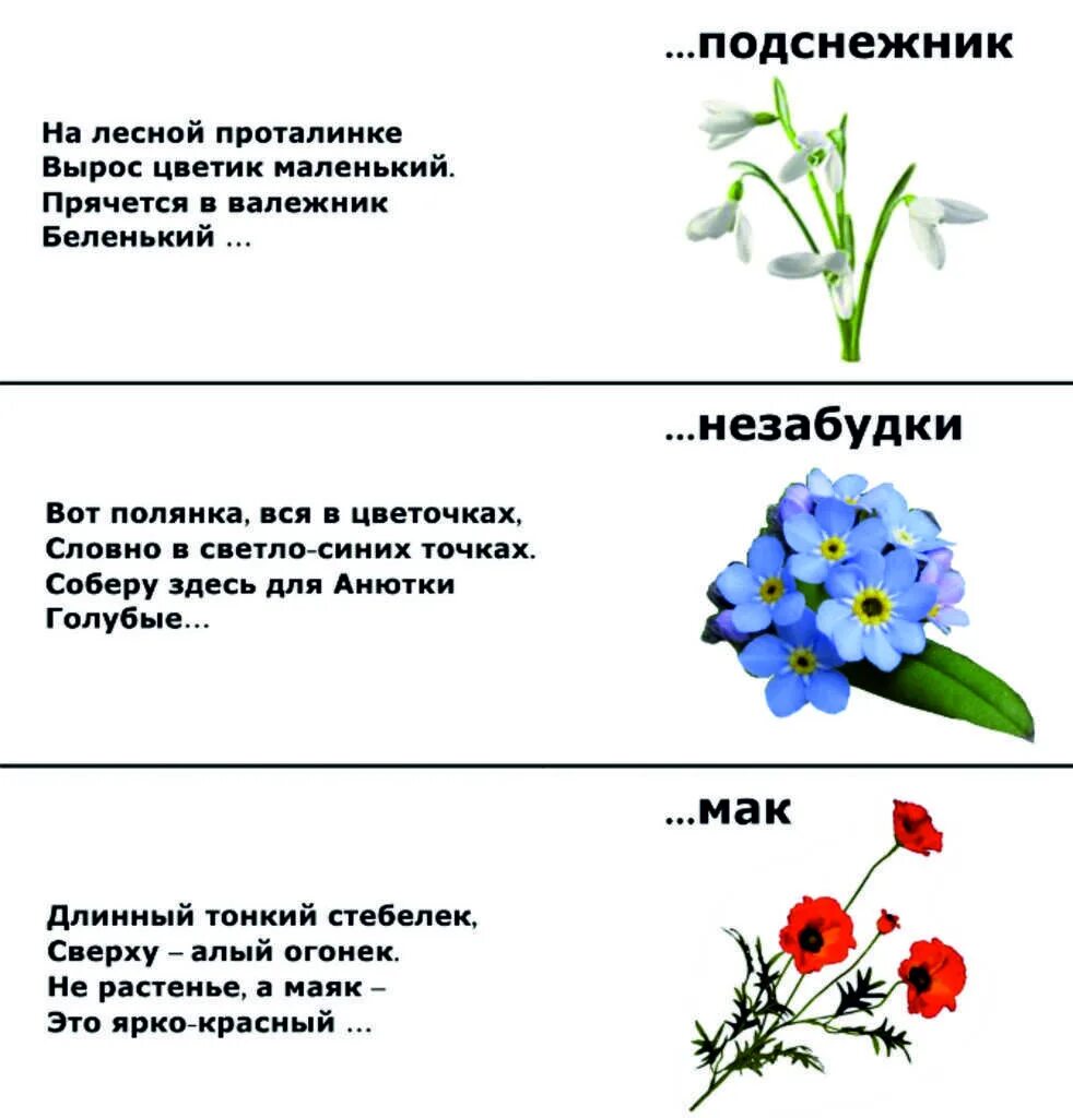 Незабудки прилагательное. Загадки про цветы. Загадки про цветы для детей с ответами. Интересные загадки о цветах. Загадка про цветочек.