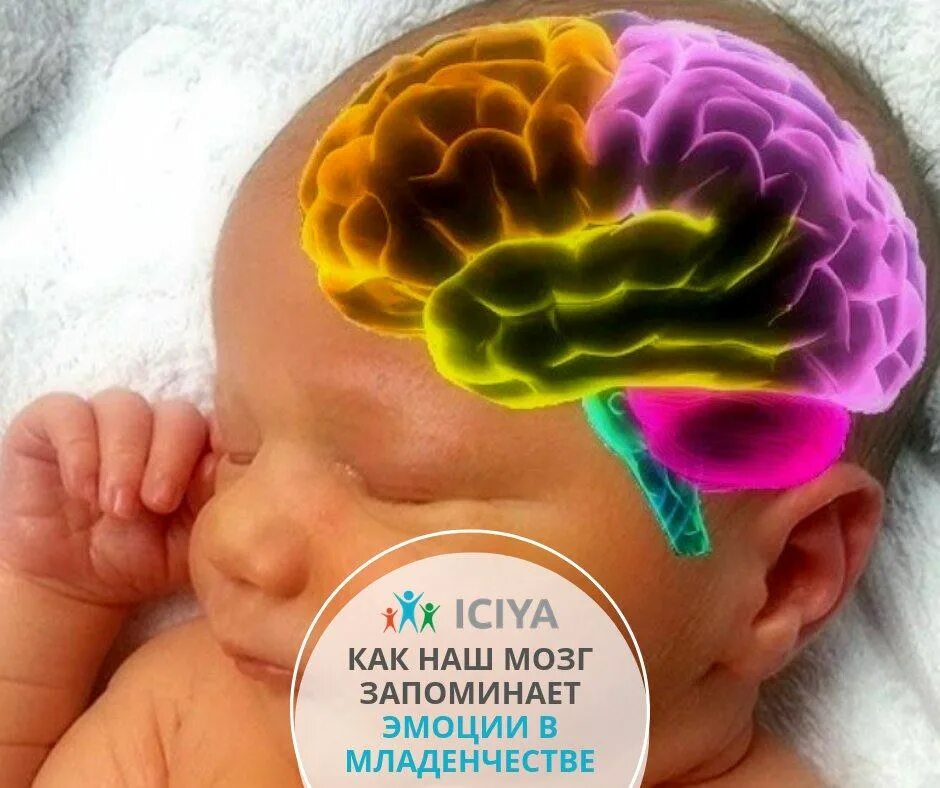 Внутриутробное недоразвитие головного мозга. Мозг ребенка. Головной мозг новорожденного. Перинатальное поражение центральной нервной системы.
