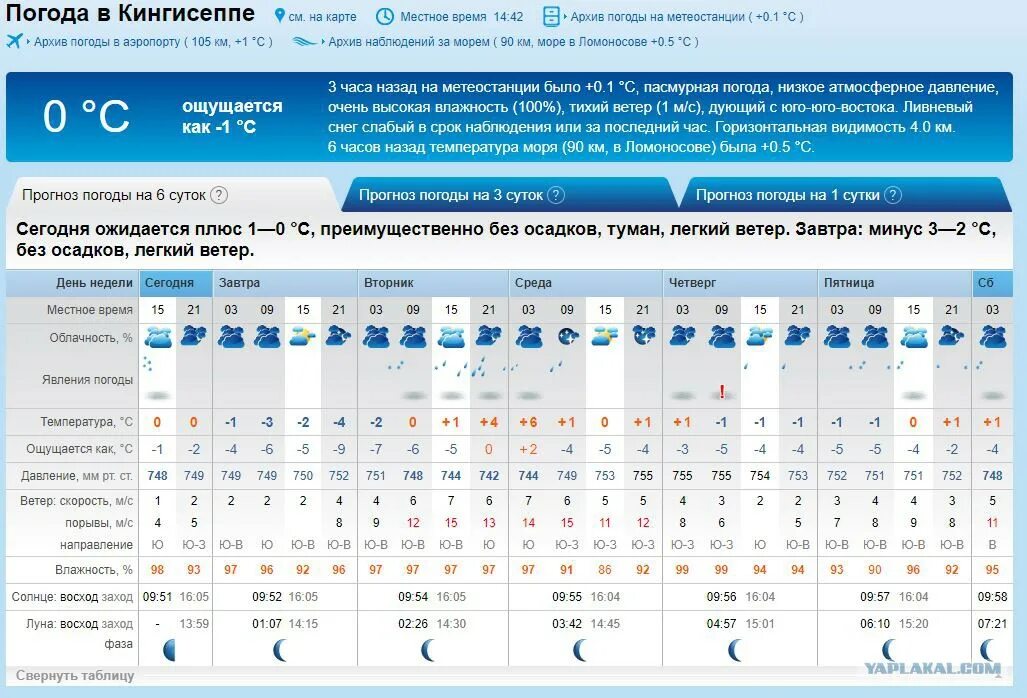 Погода на завтра кингисеппе. Погода в Кингисеппе. Погода в Кингисеппе на неделю. Погода на завтра в Кингисеппе. Погода в Кингисеппе сегодня.