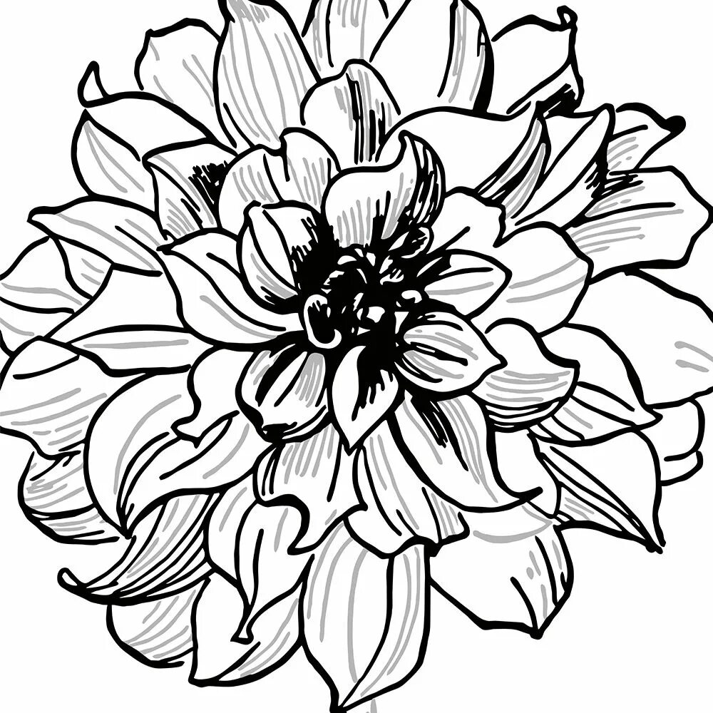 Outline 3. Flower outline. Flower Painting outline. Flower vector outline. Baroque outline Flower.