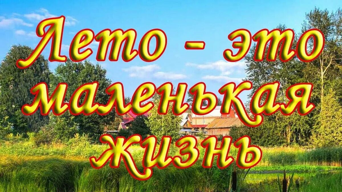 Я был жил в этом лете. Лето - это маленькая жизнь. А Лео это маленькая жизнь. Лето это маленькая Шиз. Надпись лето это маленькая жизнь.