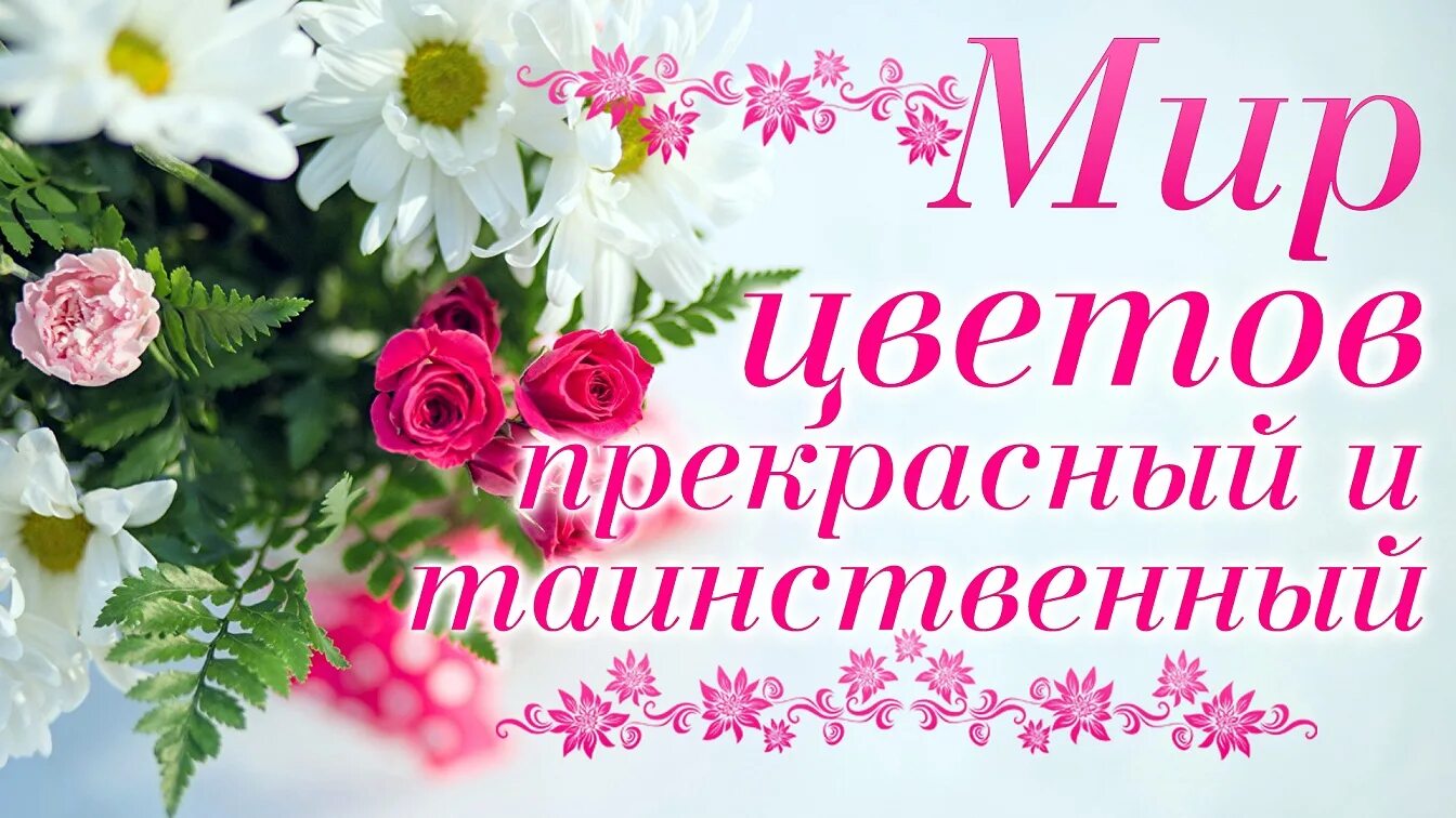 Расцветали яблони и груши автор. Цветущая черешня. Апрель птички картинки красивые. Девушка в цветущем саду. Цветущий мир песни.