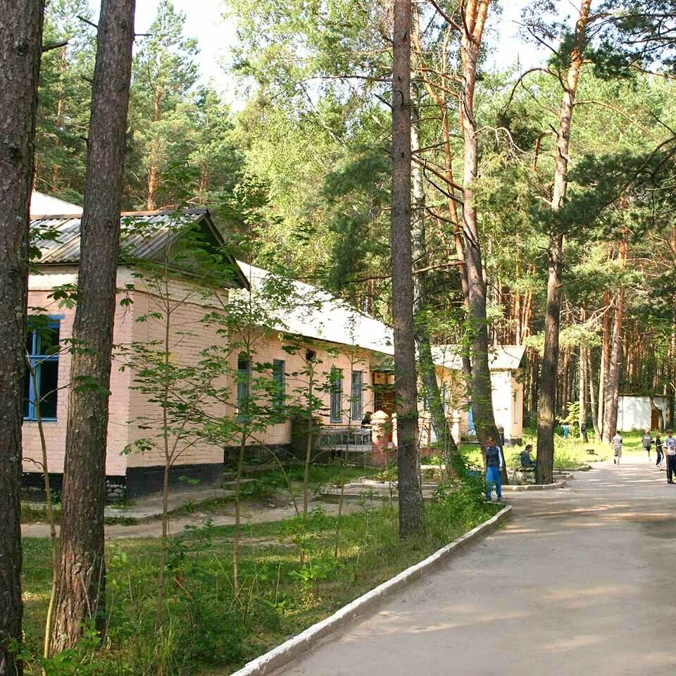 санаторий ржд синезерки профилакторий. синезерки санаторий-профилакторий официальный сайт. санаторий ржд синезерки профилакторий. синезёрки брянская область санаторий питание.