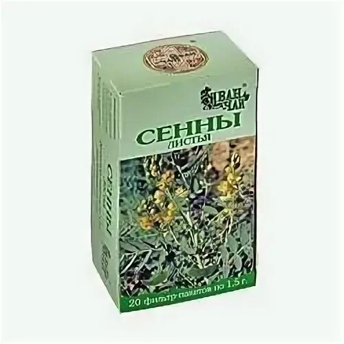 Сенны листья 100 гр. Сенны лист 50г. Сенна александрийская растение. Сенна остролистная сырье. Сенна остролистная сырье.