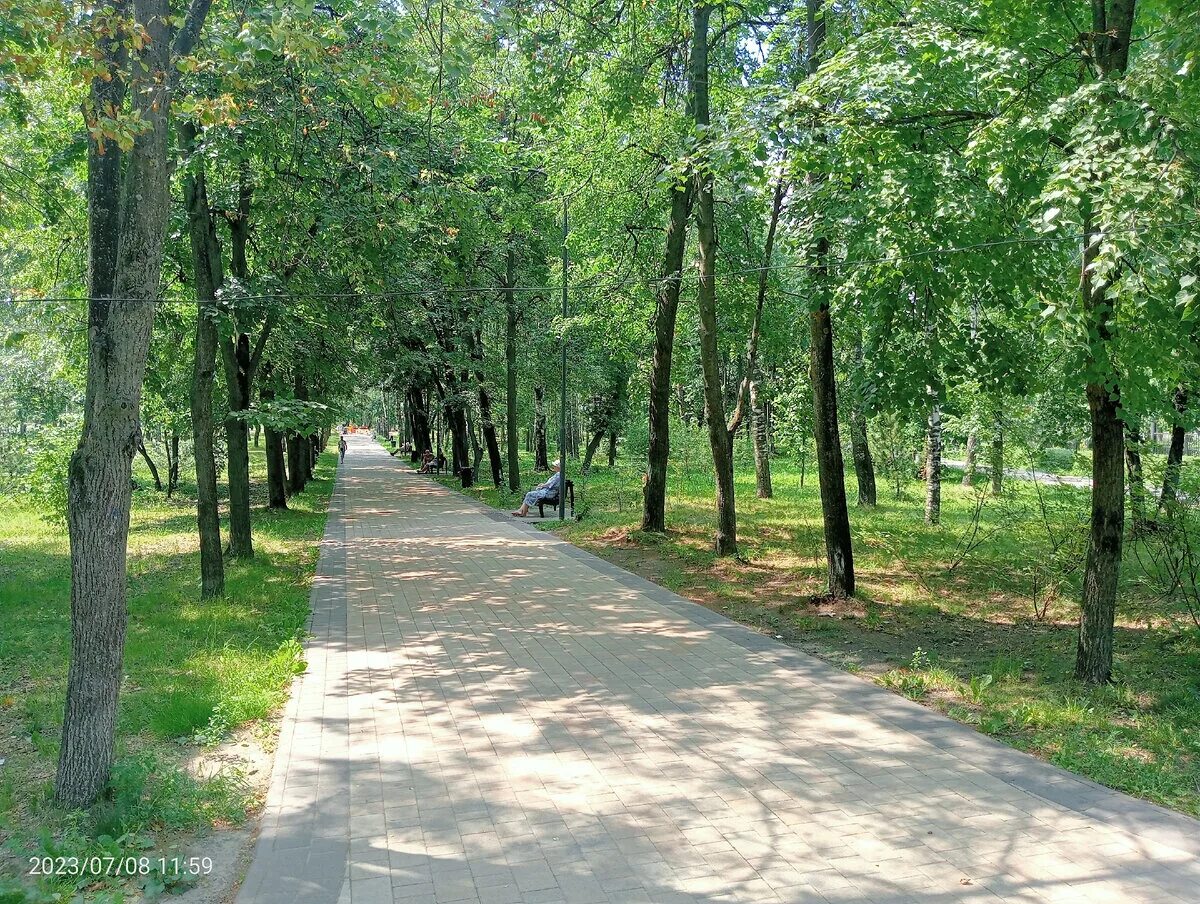 Светлоярское озеро Нижний Новгород. Аллея в парке. Нижний Новгород парк. Парк с озером. Светлоярское озеро нижний