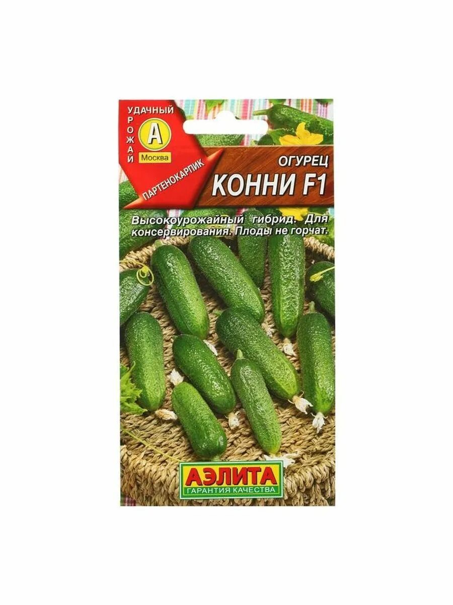 Сорта огурцов конни