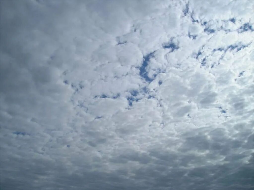 облака форма. мирное небо. облако в форме птицы. белый журавль. улетаю в облака.