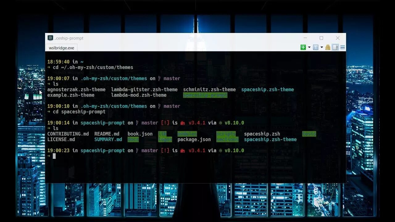 Zsh windows. Zsh for windows. zsh themes custom. linux oh my zsh. zsh windows 10.