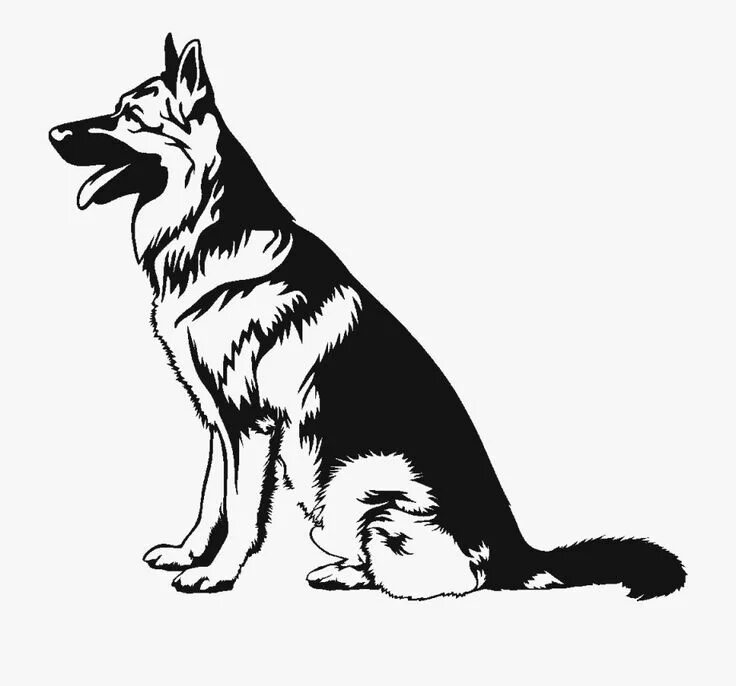 Немецкая овчарка рисунок графика Pin on German Shepherds