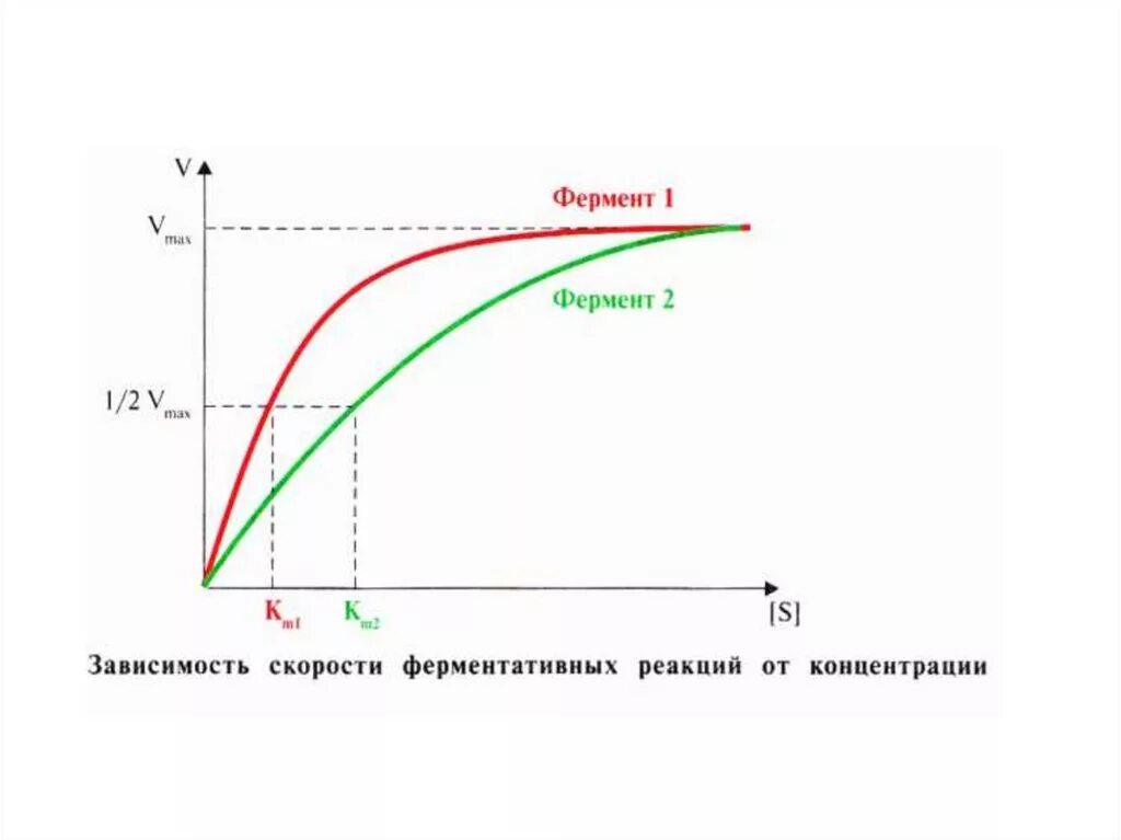 График зависимости скорости реакции от концентрации. График зависимости скорости реакции от концентрации вещества. график зависимости скорости от концентрации реагирующих веществ. 2. зависимость скорости реакции от концентрации. зависимость скорости реакции от концентрации графики.