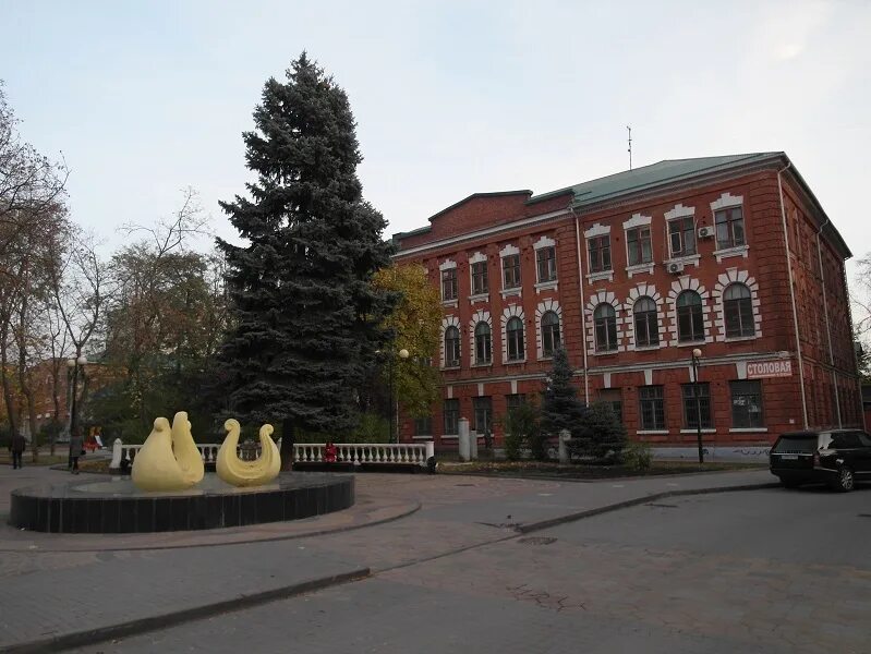 Улк ростгму. Ростовский медуниверситет. Ростовский медуниверситет. Ростовский медуниверситет. Медицинский институт ростов-на-дону.