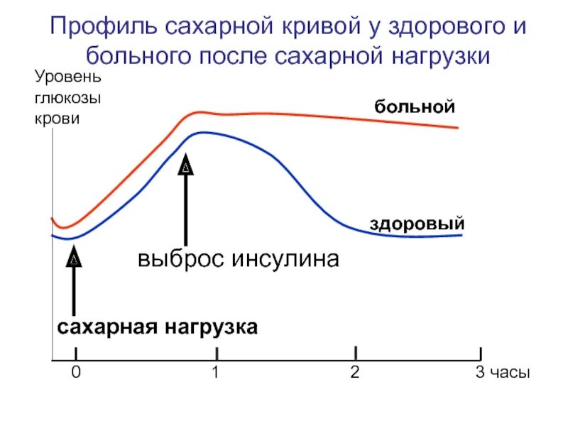 Криво уровень. Сахарная кривая показатели нормы после глюкозы. график нормальной сахарной кривой после нагрузки глюкозой. сахарная кривая толерантности глюкозы. сахарная кривая при снижении толерантности к глюкозе.