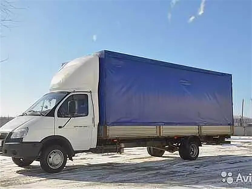 Аренда газели без водителя рядом со мной на карте. Авито москва водитель газель. Требуется водитель на газель. Газель бортовой 2023 года. Мужчина на газели.
