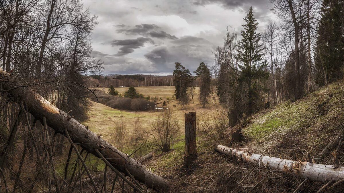 бурелом. платов федор федорович. истории города n с пьером бурелом киржач. хребет бурелом. бурелом в лесу.