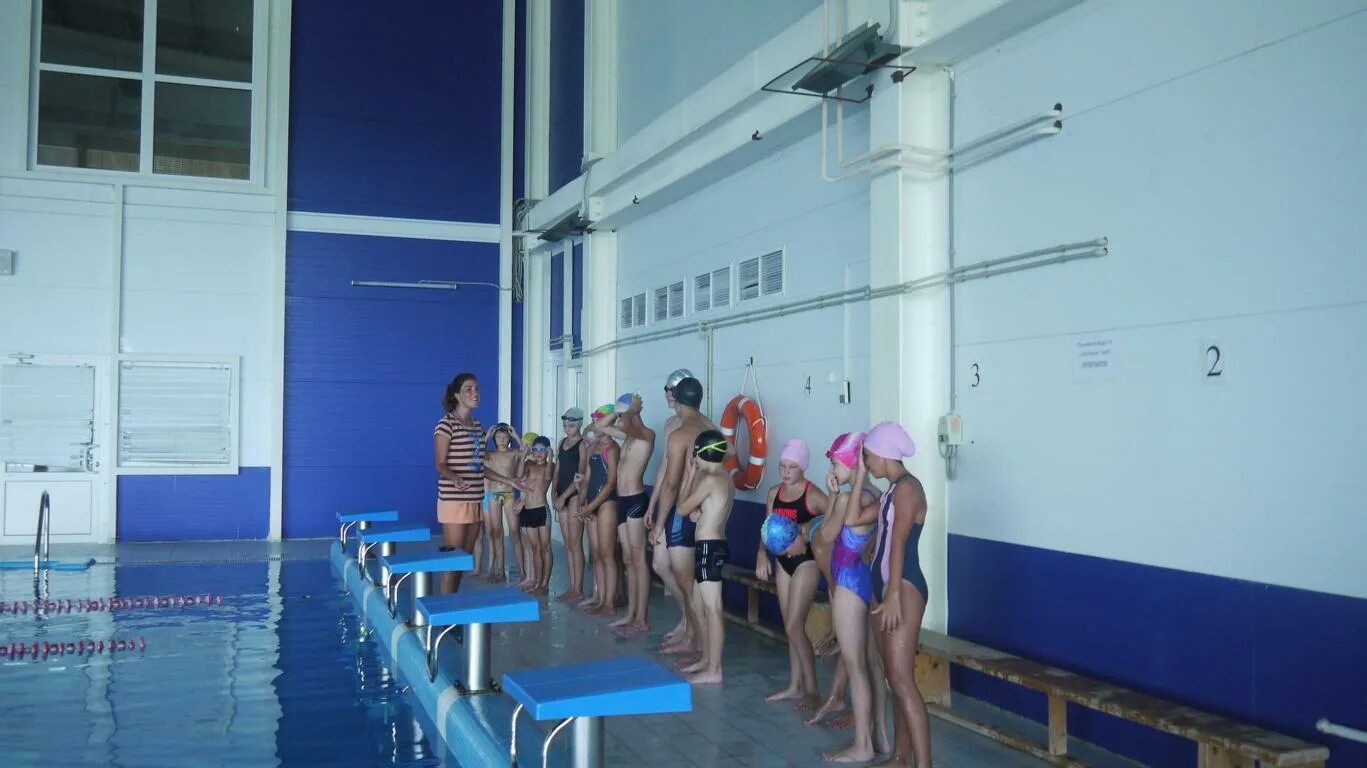 фок чайка. фок перевоз нижегородская область. фок перевоз нижегородская. перевозский фок чайка бассейн. перевозский фок чайка бассейн.