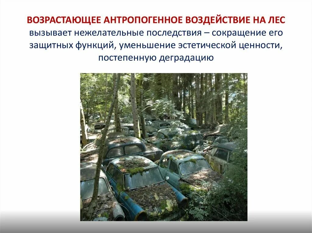 Антропогенное воздействие человека на биосферу. Влияние антропогенных факторов на человека. Влияние человека антропогенные. Схема воздействия человека на природу. Влияние человека антропогенные.